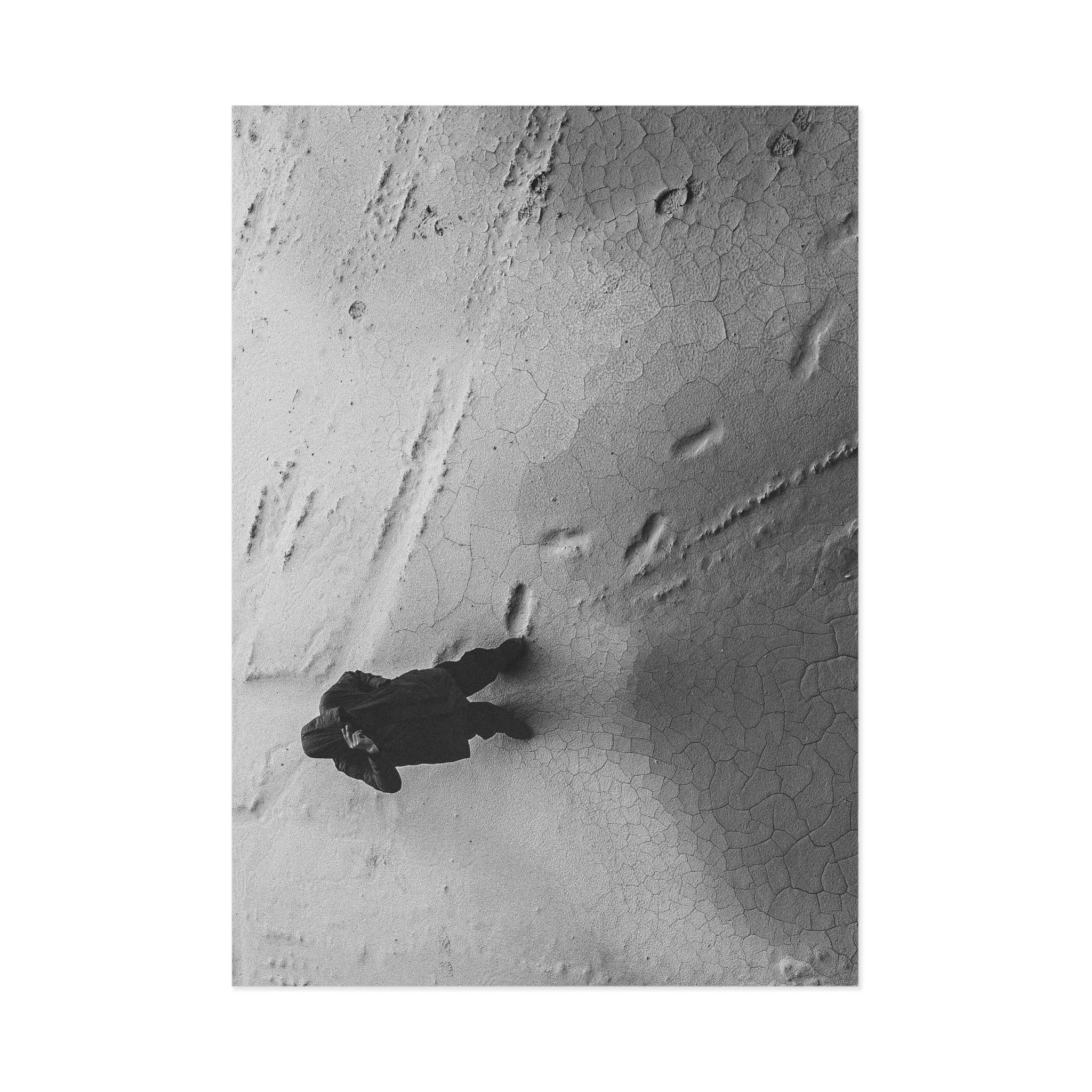 Le Shoush - Bratislava // Carte Postale